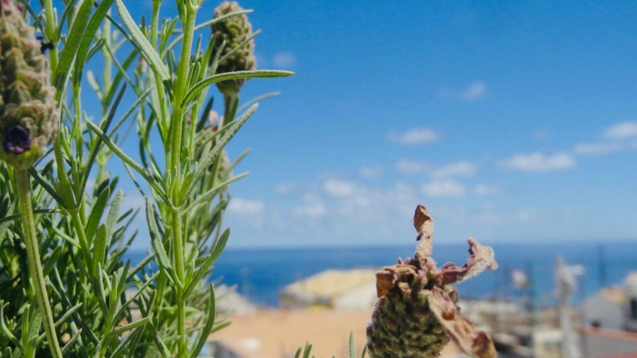 Home Holiday Sicily Isola delle Femmine Kültér fotó